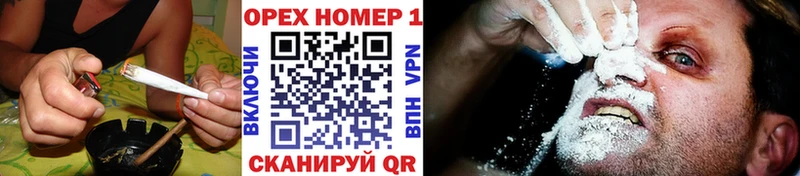 купить закладку  Новоаннинский  COCAIN 97% 