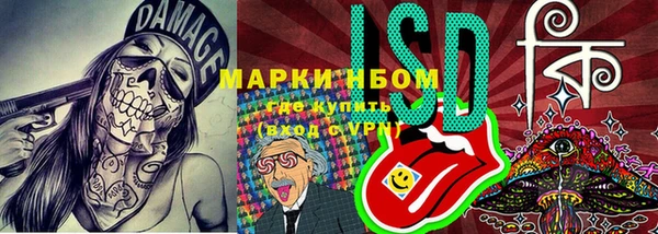 амф Алексин