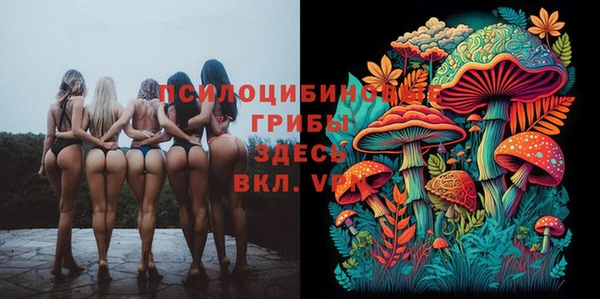 амф Алексин
