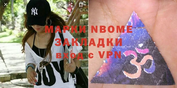 хмурый Алзамай