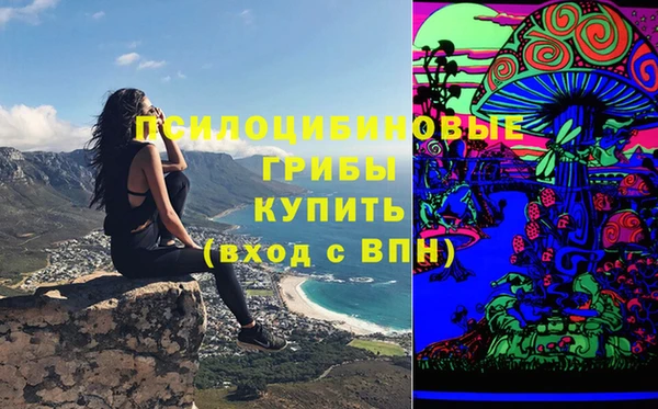 хмурый Алзамай