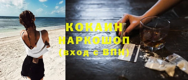 хмурый Алзамай